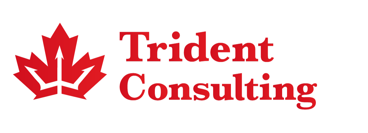 Trident Consulting - Silver Partner